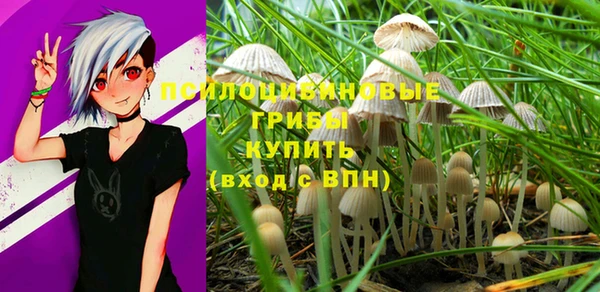 spice Инсар