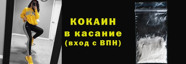 spice Инсар