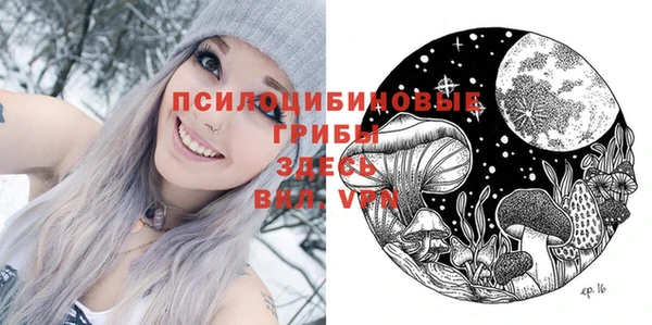 spice Инсар