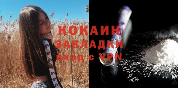 дживик Иннополис