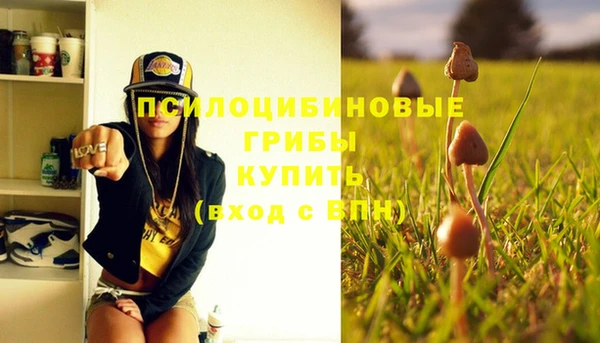 дживик Иннополис