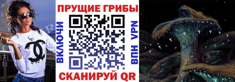 Купить где  Гаврилов-Ям  Галлюциногенные грибы мицелий 